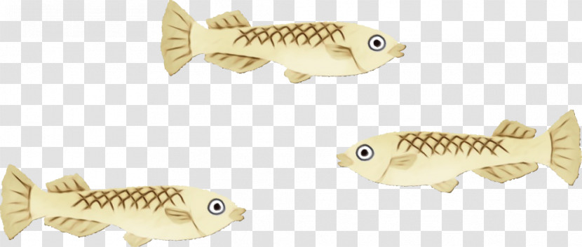 Fish Fish Carp Bony-fish Cyprinidae Transparent PNG