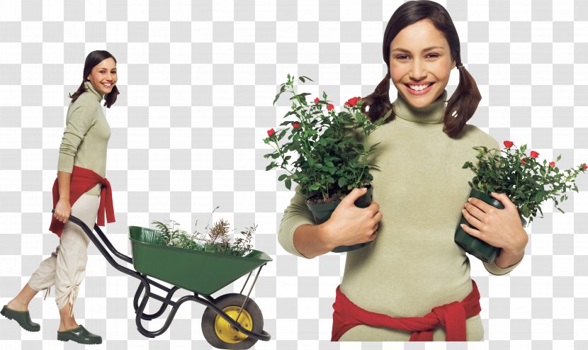 Gardener Wheelbarrow - Price Transparent PNG