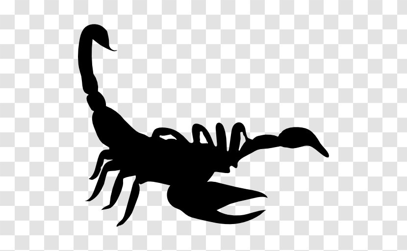 Scorpion Silhouette Drawing Transparent PNG
