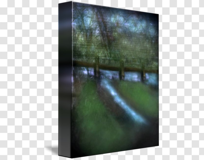 Water Resources Forest Biome Watercourse Stock Photography - Watercolor Landscape Transparent PNG
