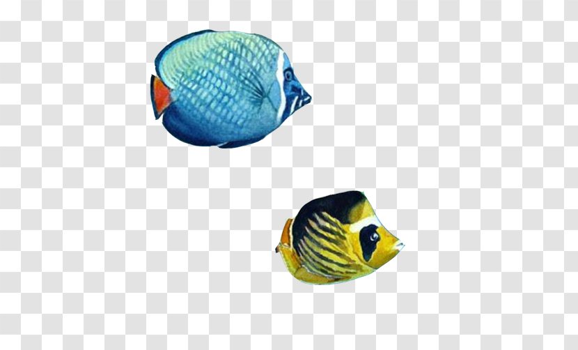 Ornamental Fish - Gratis - Stock Image Transparent PNG