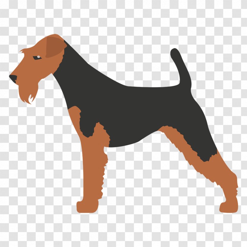 Bedlington Terrier Scottish Toy Fox Yorkshire Staffordshire Bull - Dog Breed - Airedale Transparent PNG