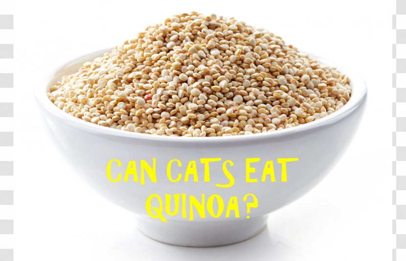 Oat Cereal Quinoa Breakfast Food - Gluten Transparent PNG