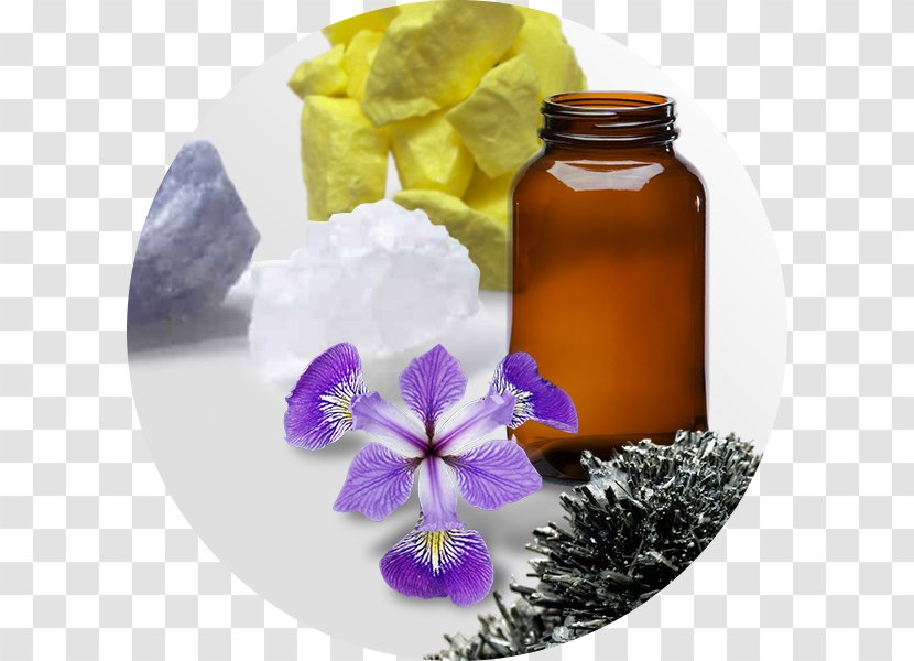 Alternative Health Services Homeopathy Herbalism Medicine Sulfuric Acid - Petal Transparent PNG