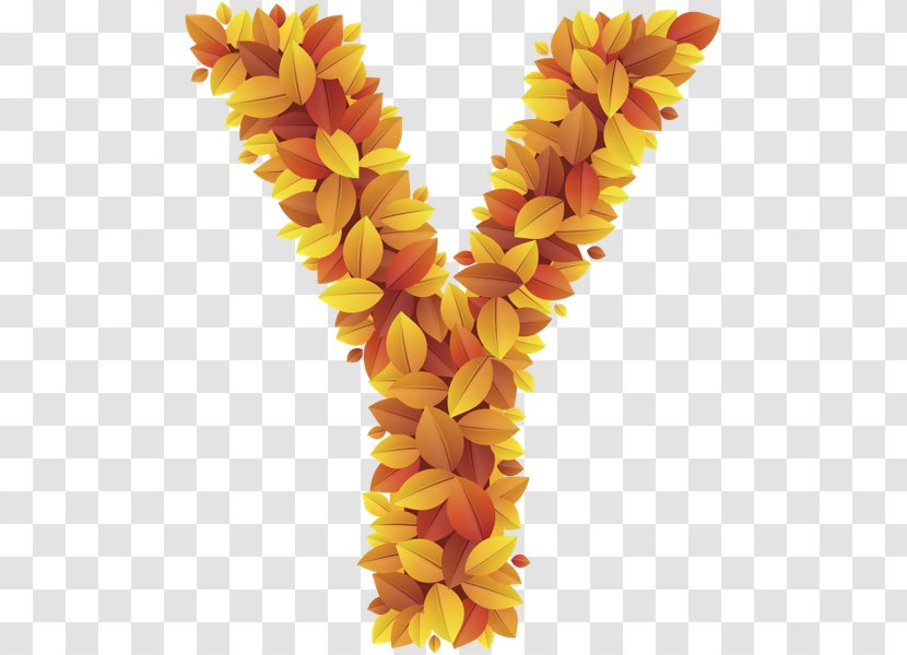 Lettering English Alphabet Flower - Petal Transparent PNG