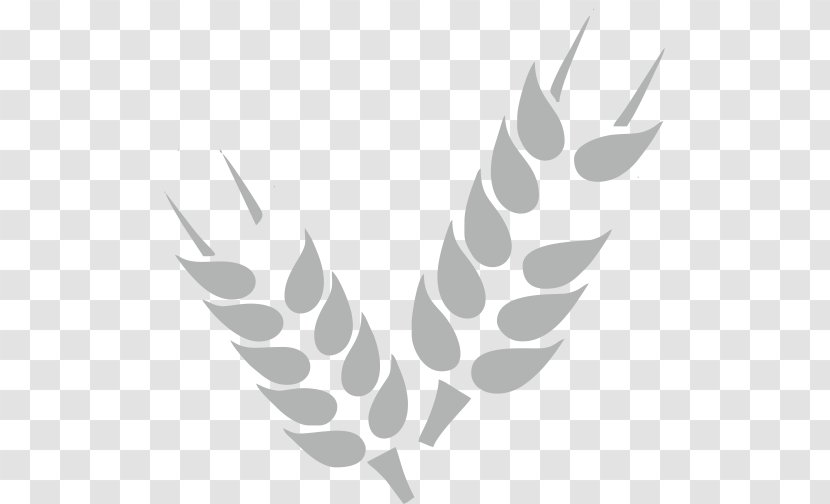 Cereal Wheat Grain Agriculture - Food Transparent PNG