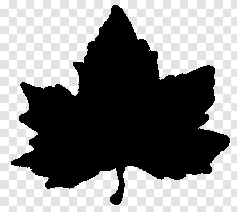 Woody Silhouette - Plant - Maple Blackandwhite Transparent PNG