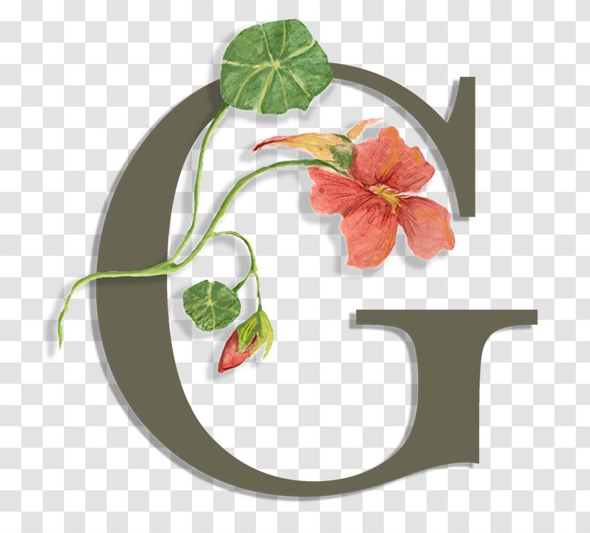 Australian Grain Growers Co-op The Garden Market Logo Food - Flower Transparent PNG