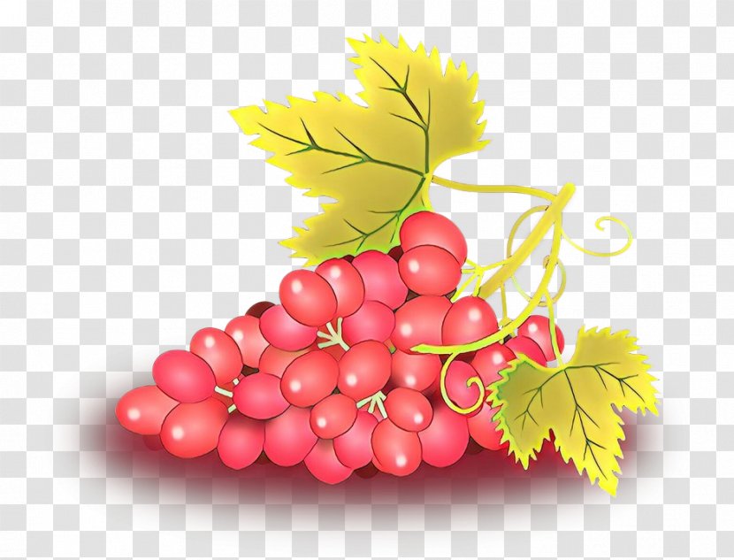 Grape Seedless Fruit Leaf Plant Grapevine Family - Cartoon - Flowering Vitis Transparent PNG