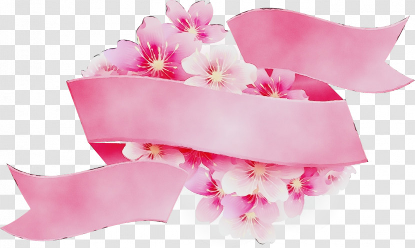 Cherry Blossom Transparent PNG