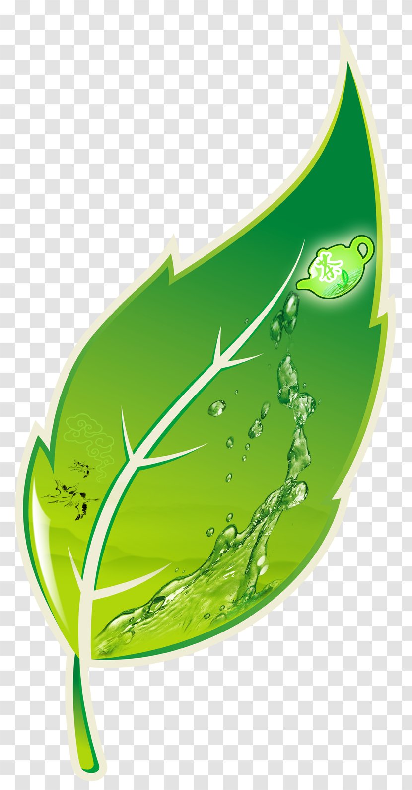 Green Tea Anxi County Graphic Design - Plant - Icon Vector Material Transparent PNG