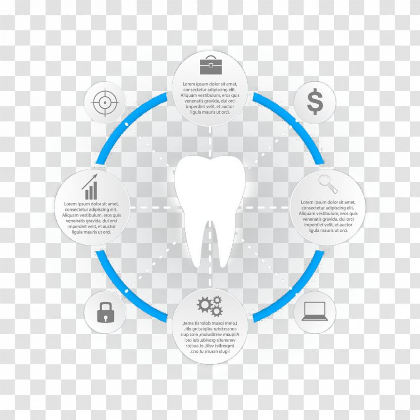 Tooth Chart Information Dentistry - Diagram - Creative Teeth Transparent PNG