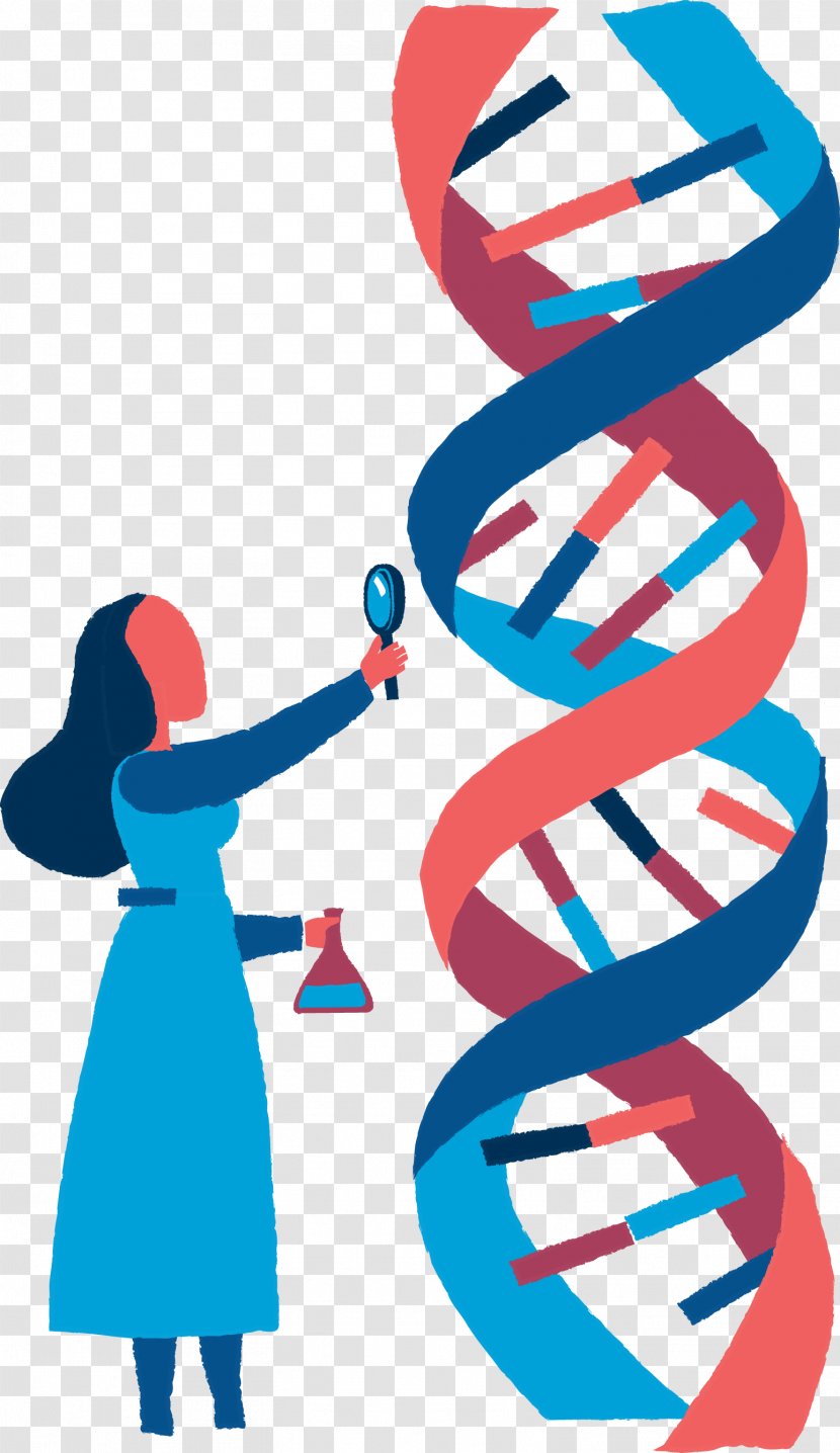 Science Euclidean Vector Biology DNA - Chemistry - Hand Painted Exploratory Bioscience Transparent PNG