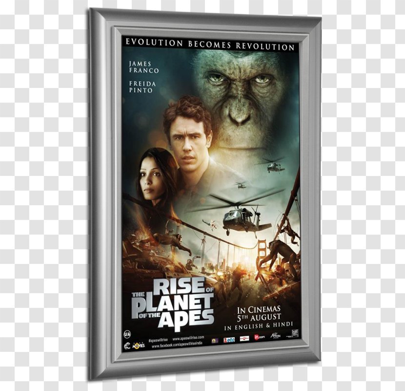 Rise Of The Planet Apes Scooby Doo Poster Cinema Film - Thriller - Movie Billboard Transparent PNG