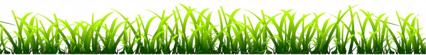 Lawn Desktop Wallpaper Clip Art - Animation - Grass Transparent PNG