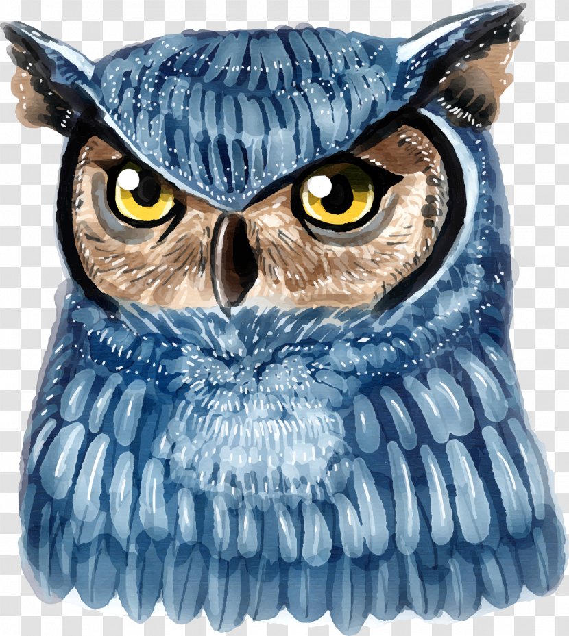 Owl T-shirt Illustration - Bird - Blue Hand Painted Transparent PNG