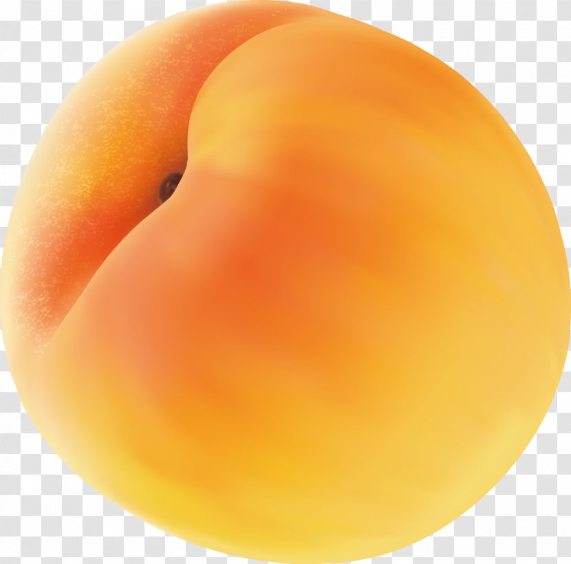 Peach Apricot Close-up - Fruit - Fresh Peaches For Agricultural And Sideline Products Transparent PNG