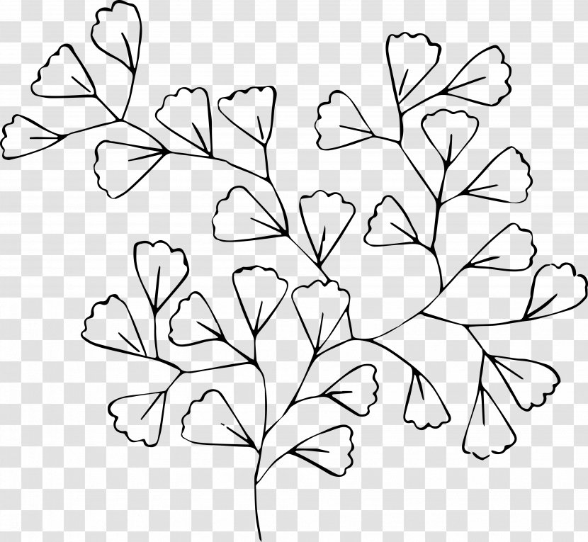 Black And White Line Art Flower Drawing Clip - Greenery Transparent PNG