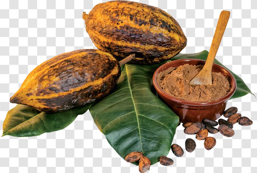 Cocoa Bean Cacao Tree Solids Chocolate Organic Food - Vegetarian Transparent PNG
