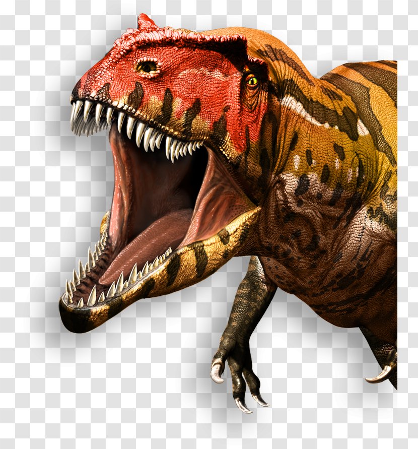 Tyrannosaurus Giganotosaurus Ultimate Dinosaurs: Giants From Gondwana Velociraptor Royal Ontario Museum - Reptile - Dinosaur Transparent PNG