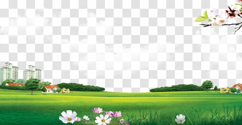 Lawn Meadow Wallpaper - Landscaping - Grass Background Transparent PNG