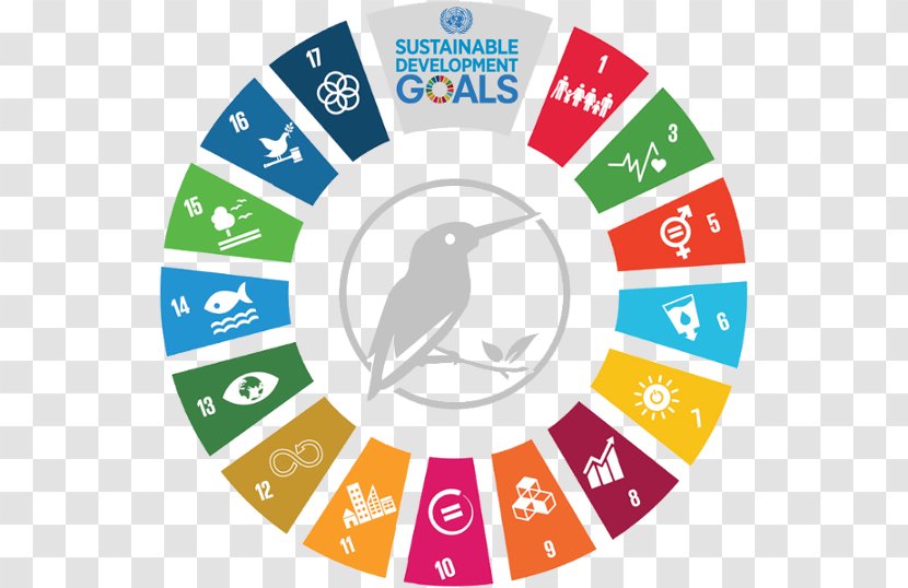 Sustainability Health Care Sustainable Development Goals Business - Developement Transparent PNG