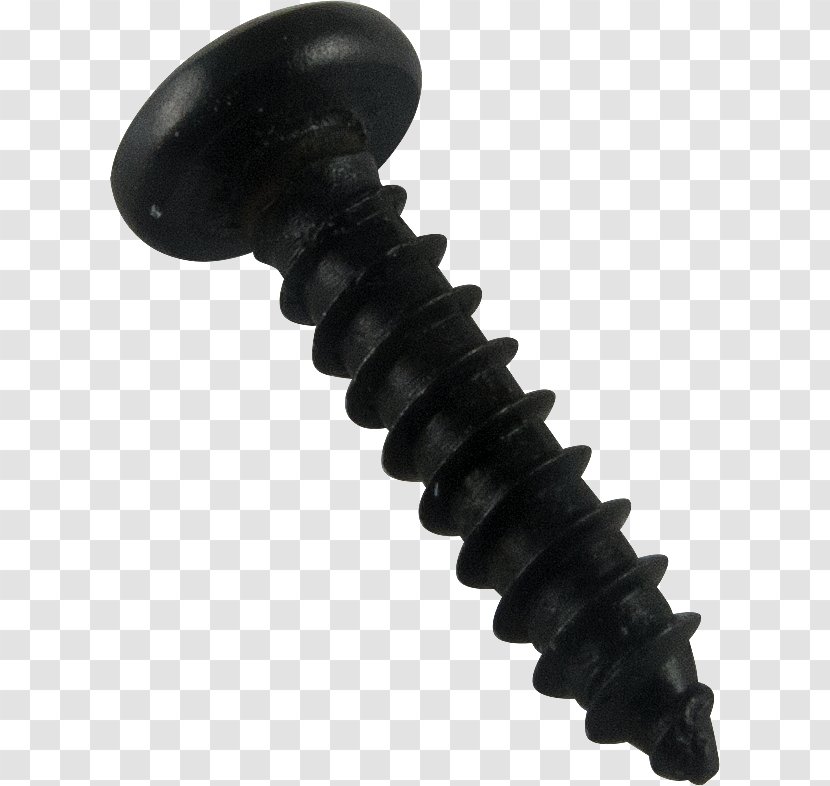 Fender Computer Hardware Screw - Accessory - Logo Transparent PNG