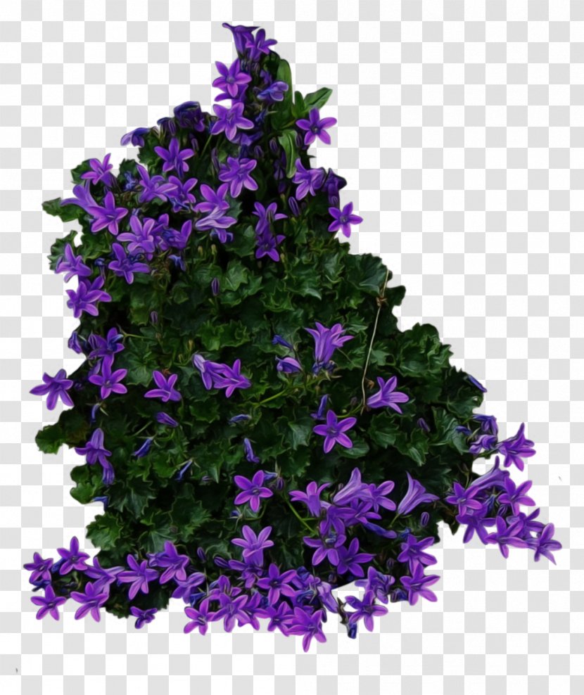 Shrub Tree Flower Clip Art - Flowering Plant - Purple Flowery Bushes Transparent PNG