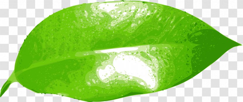 Common Fig Leaf Green Clip Art Transparent PNG