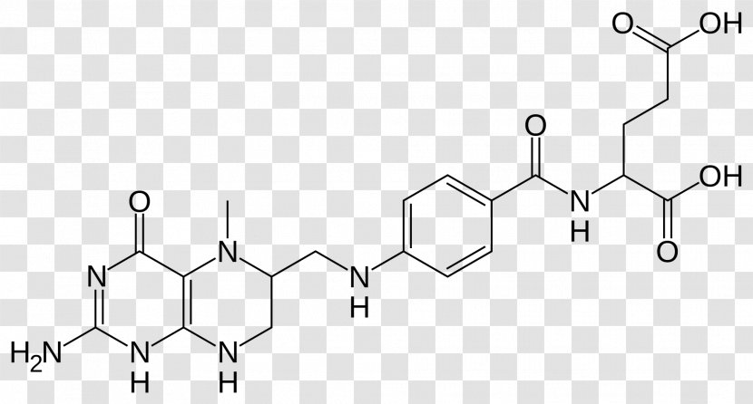 Tetrahydrofolic Acid 10-Formyltetrahydrofolate Dihydrofolic Levomefolic Folinic - Methylenetetrahydrofolate Reductase - Tree Transparent PNG