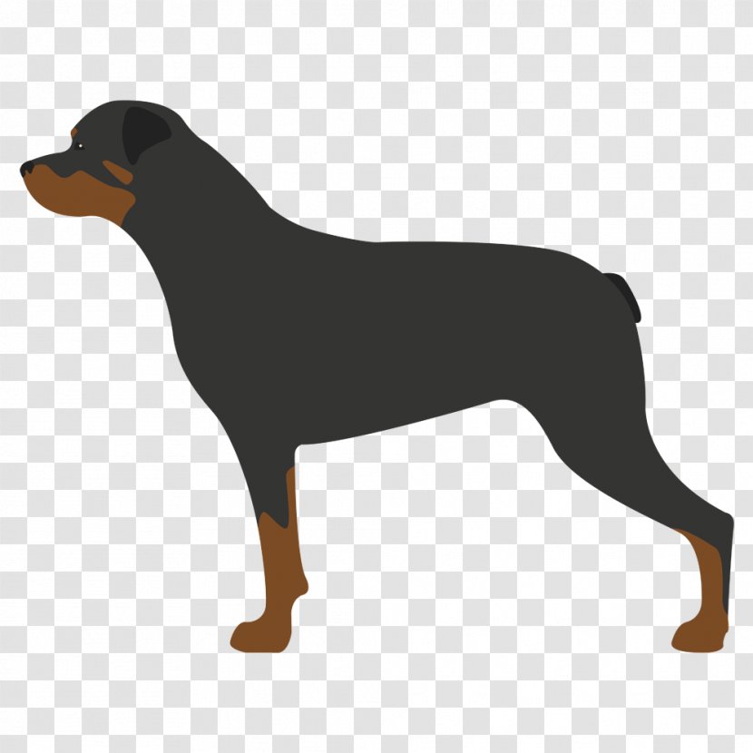 German Pinscher Puppy Smaland Hound Rottweiler Whippet Transparent PNG