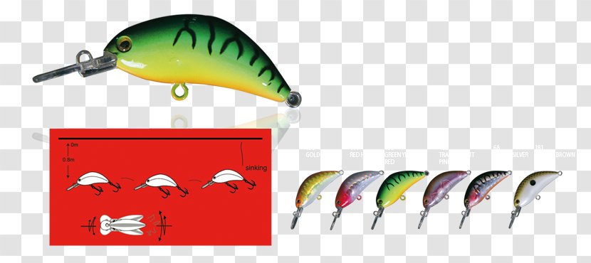 Fishing Baits & Lures Beak Clip Art - Bait - Fish Shop Transparent PNG