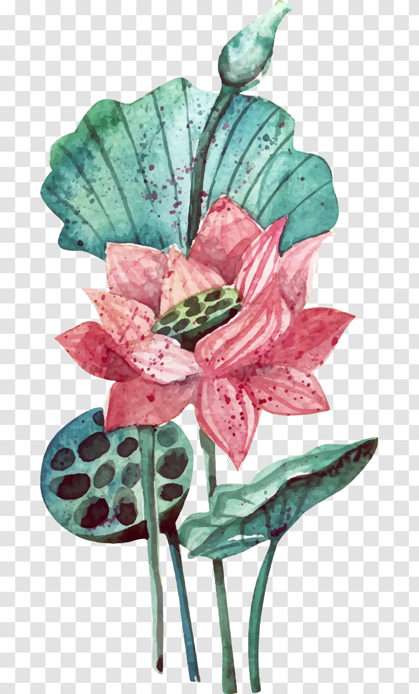 Watercolor Painting Flower - Wildflower - Vector Hand-painted Lotus Transparent PNG
