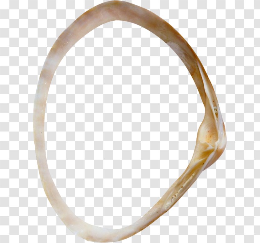 Bangle Material Wedding Ring Body Jewellery Transparent PNG