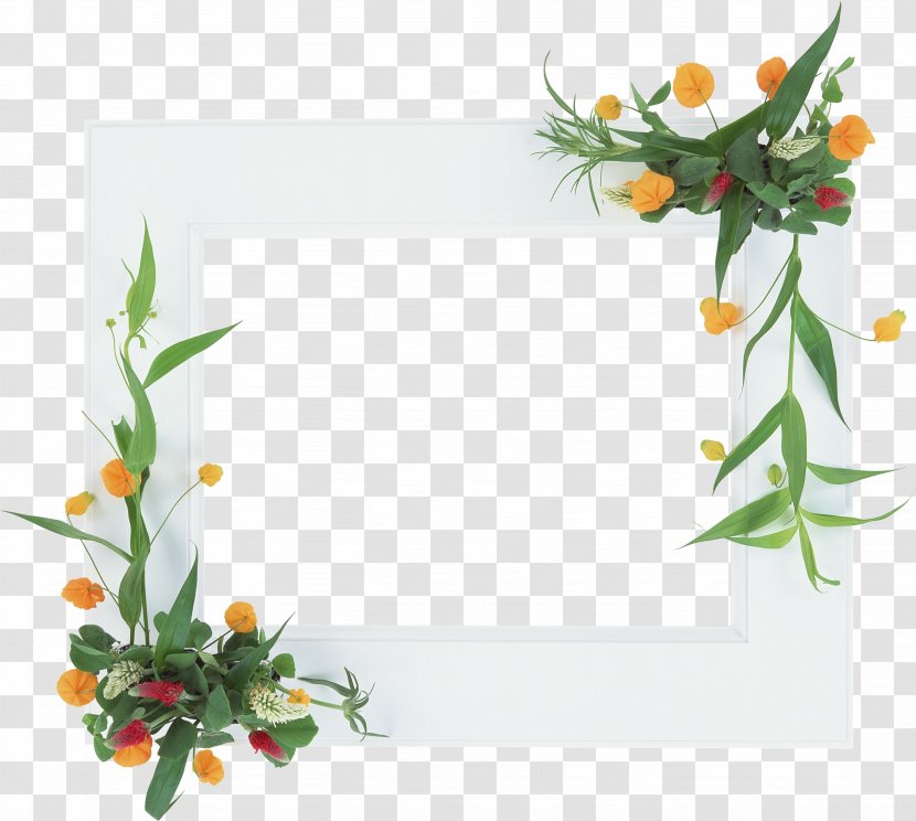 Floral Design Picture Frames Flower Film Frame - Plant Transparent PNG