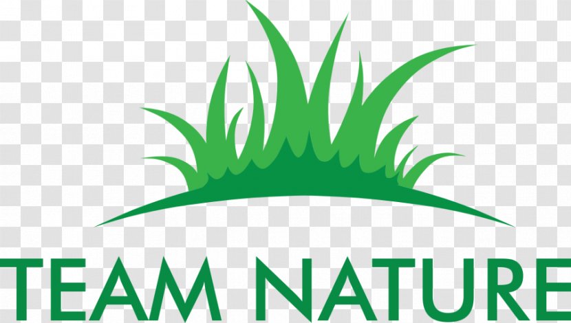 Leaf Logo Grasses Font Clip Art - Plant Stem Transparent PNG