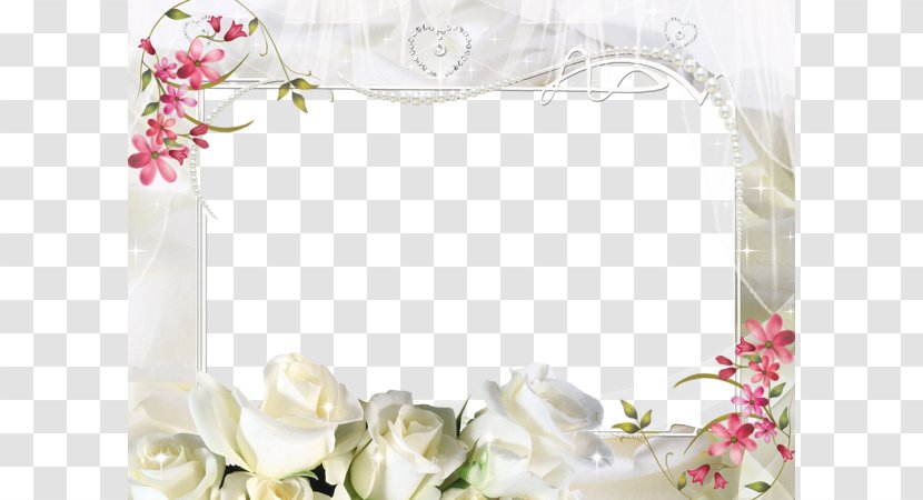 Picture Frame Photography - Petal - White Flower Transparent PNG