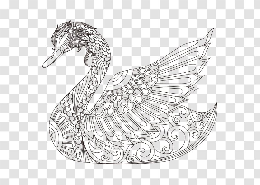 Cygnini Bird Coloring Book Drawing - Water - Hand-painted Swan Transparent PNG