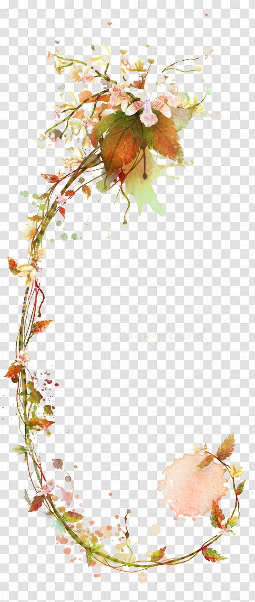 Flower Vine Illustration - Arranging - Pear Tree Branch Picture Material Transparent PNG