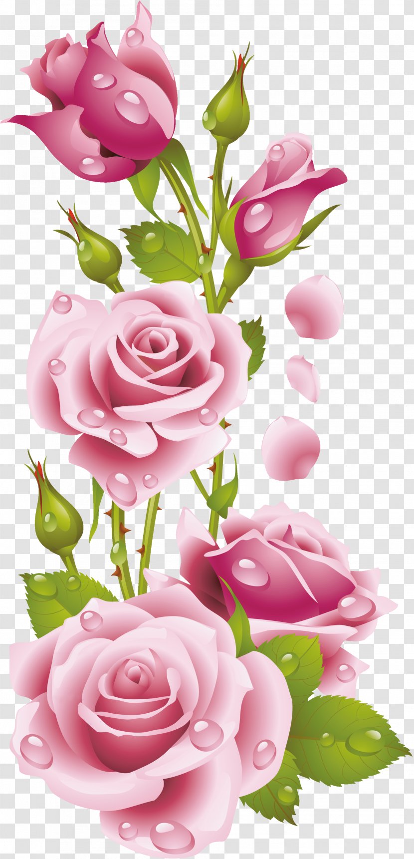 Floral Design Painting Rose Embroidery Art - Plant Stem Transparent PNG