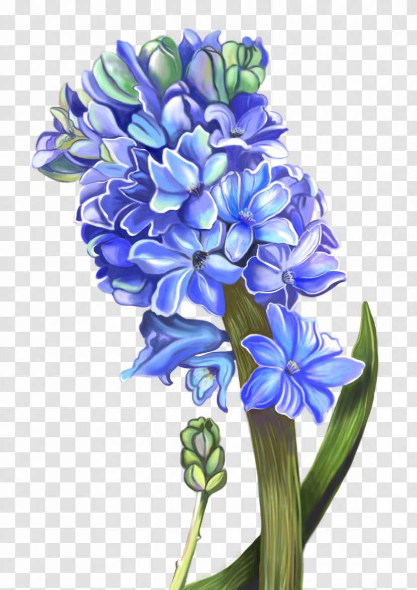 Hyacinth Floral Design Cut Flowers - Floristry - Flower Transparent PNG