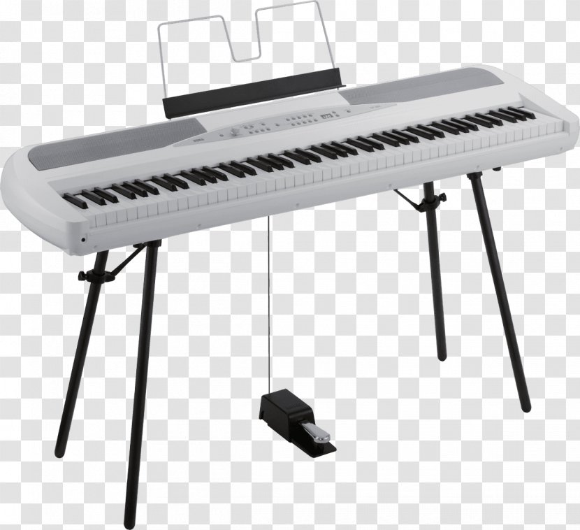 Digital Piano Keyboard Musical Instruments Korg - Frame - Stool Transparent PNG