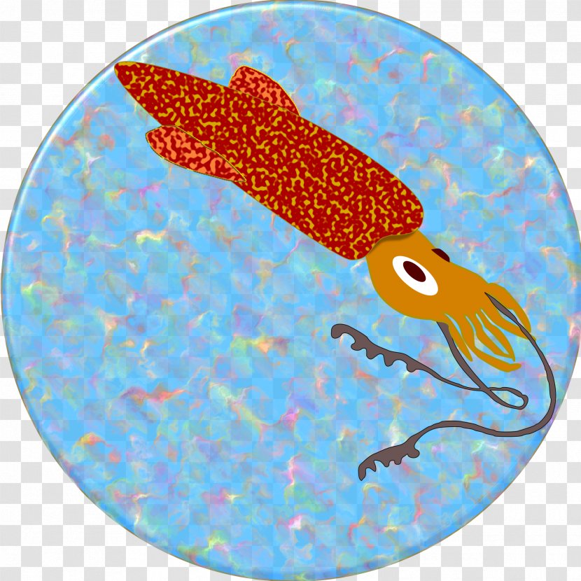 Squid - Organism - Fish Transparent PNG