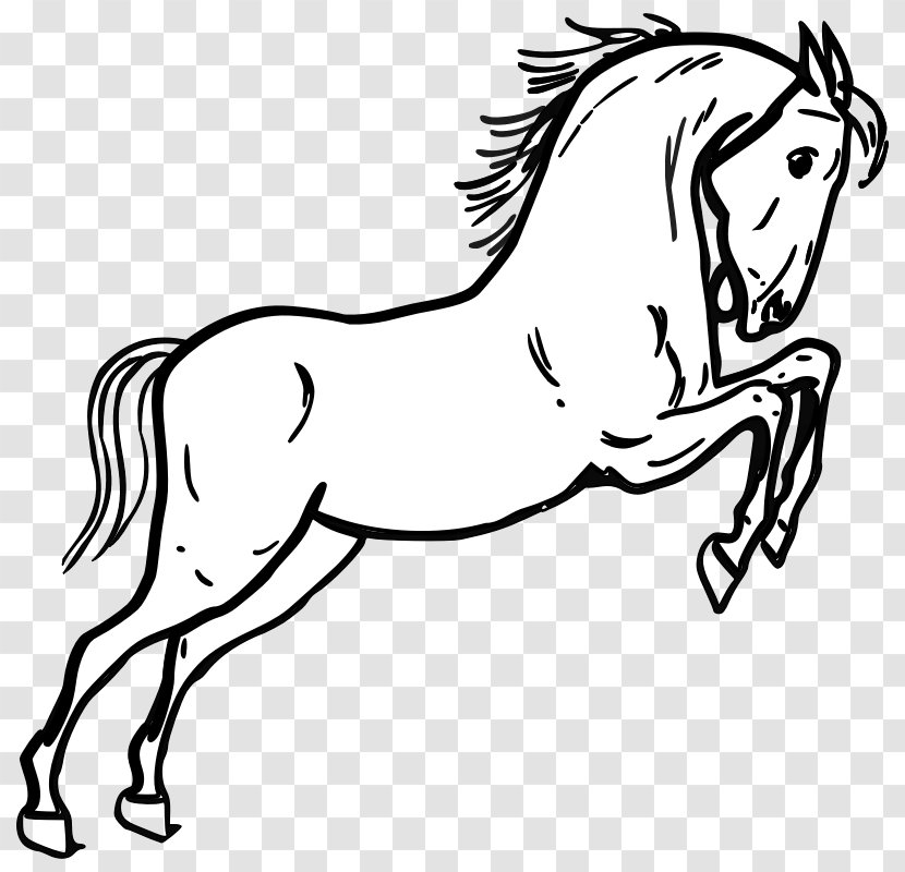 Tennessee Walking Horse Morgan Clip Art - Animal Outline Transparent PNG