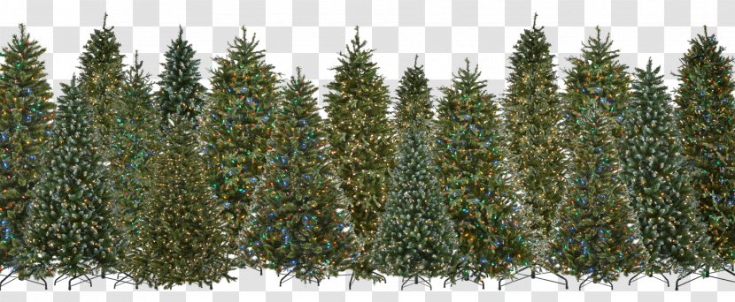 Artificial Christmas Tree Evergreen - Lighting Transparent PNG