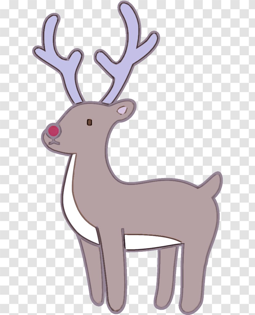 Reindeer - Wildlife - Tail Transparent PNG