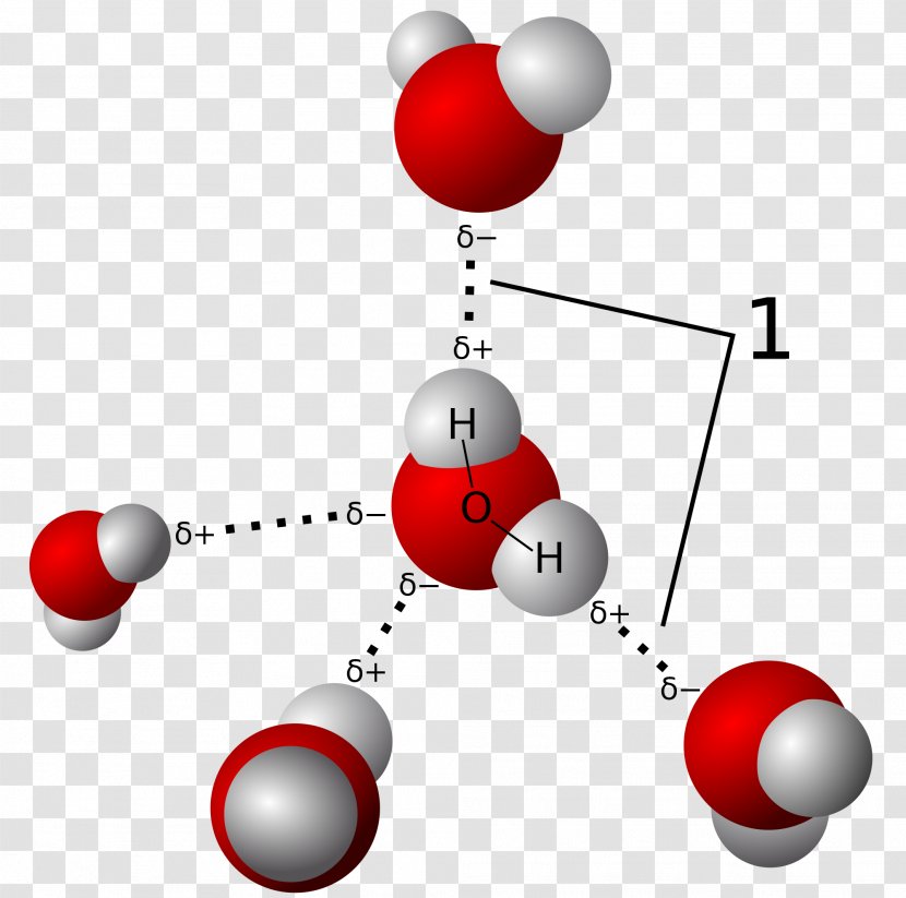 Hydrogen Bond Chemical Covalent Molecule Atom - Triple H Transparent PNG