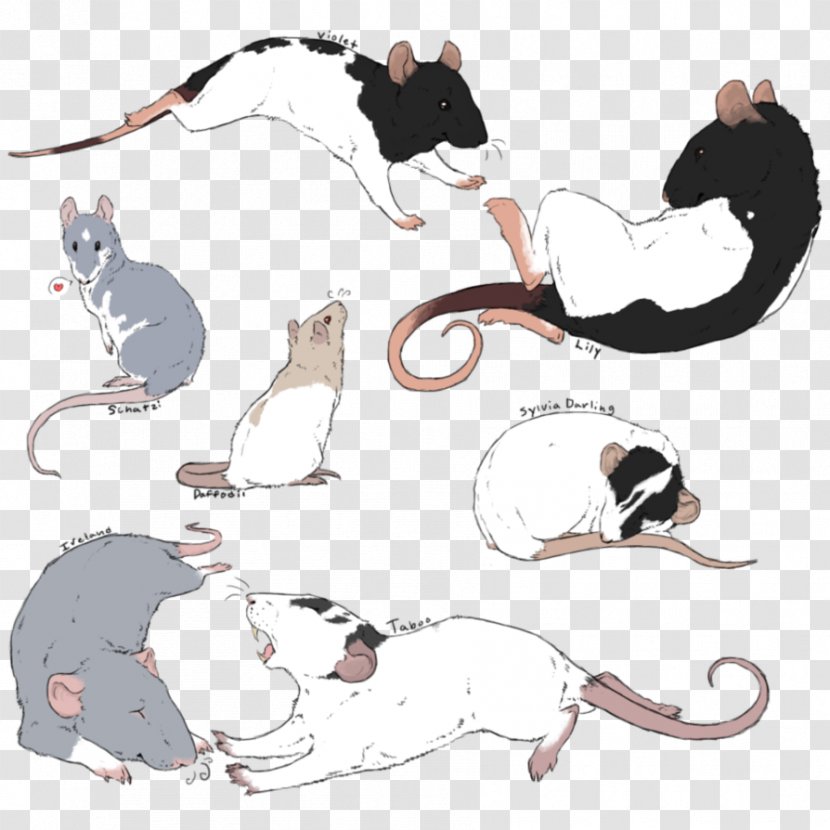 Cat Rat Drawing Sketch Watercolor Painting - Wallpaper Funk Groove Transparent PNG