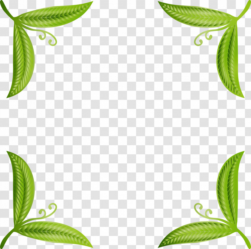 Picture Frame Transparent PNG