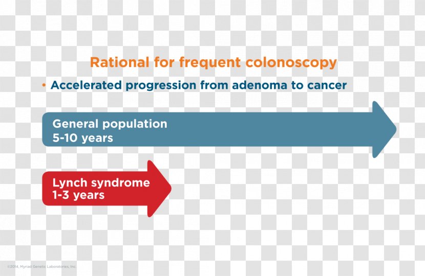 PMS2 MSH2 MLH1 Hereditary Nonpolyposis Colorectal Cancer - Diagram - Antrum Transparent PNG
